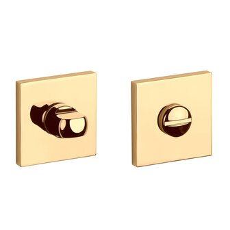 Toiletgarnituur vierkant 53x53x7mm Goud gepolijst