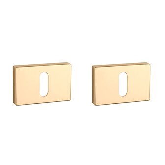 Sleutel rozet rechthoek 50X33X7mm Goud