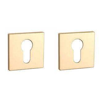 Cilinder rozet vierkant 52X52X5mm Goud