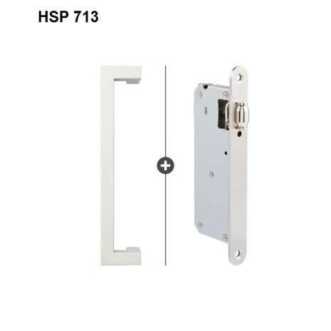 HSP 713